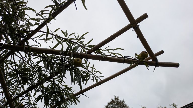 Foto Rustieke buitenplaats Foto gerealiseerde tuin Leusden