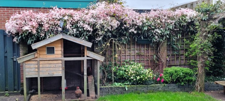 Foto Modern én biodivers Foto gerealiseerde tuin Zeist